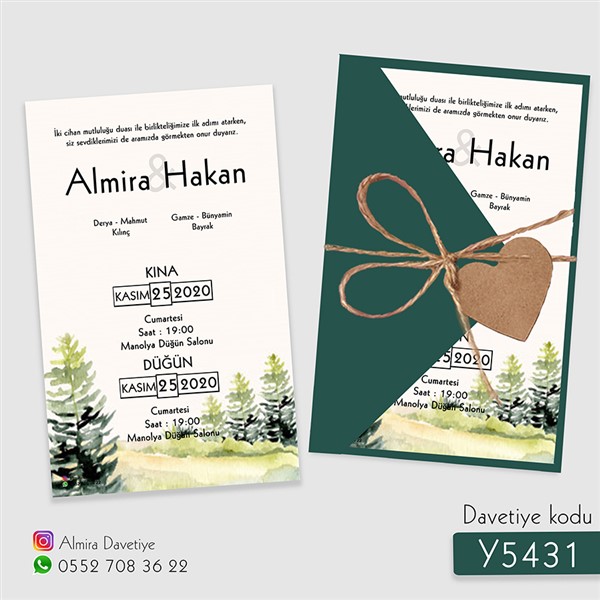 y5431 blank